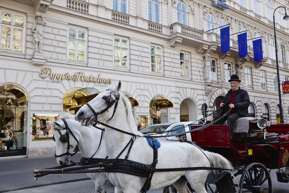 popp_image_110R PROELL.jpg