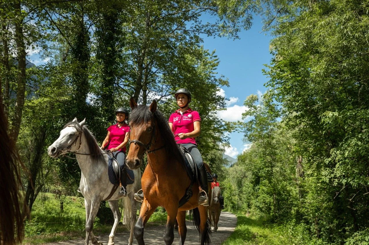 Groß (Quellenhof Sport & Familie-DRUCK-460-553).jpeg