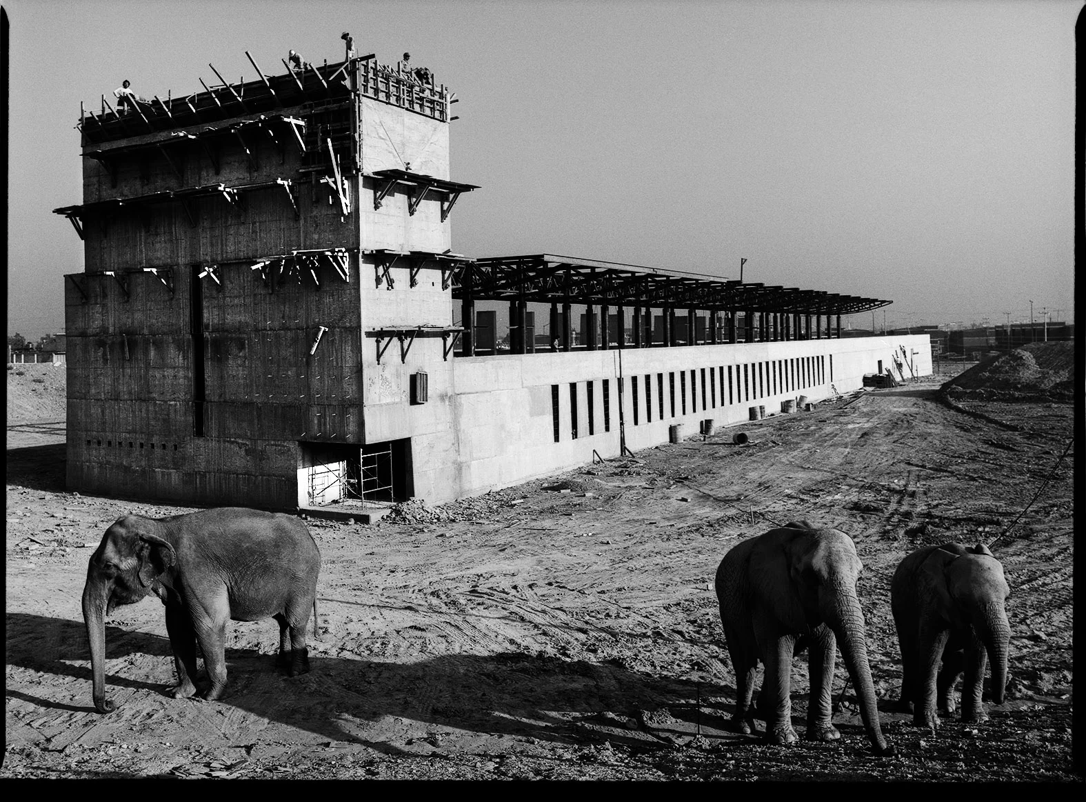 Client:  TAX Taller de Arquitectura   Arquitect:  Alberto Kalach   Location:  Iztapalapa, México D.F.  This image belonged to the ABCDF exhibition at Palacio Bellas Artes, Mex. DF.