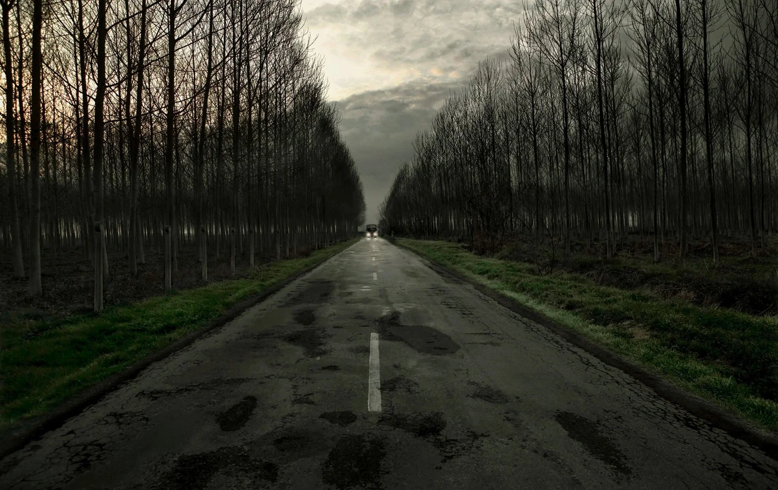 DGT_©PepAvila.044.jpg