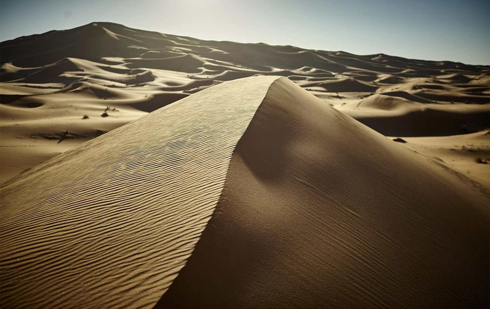 MOROCCO_Travels©PepAvila 11.jpg