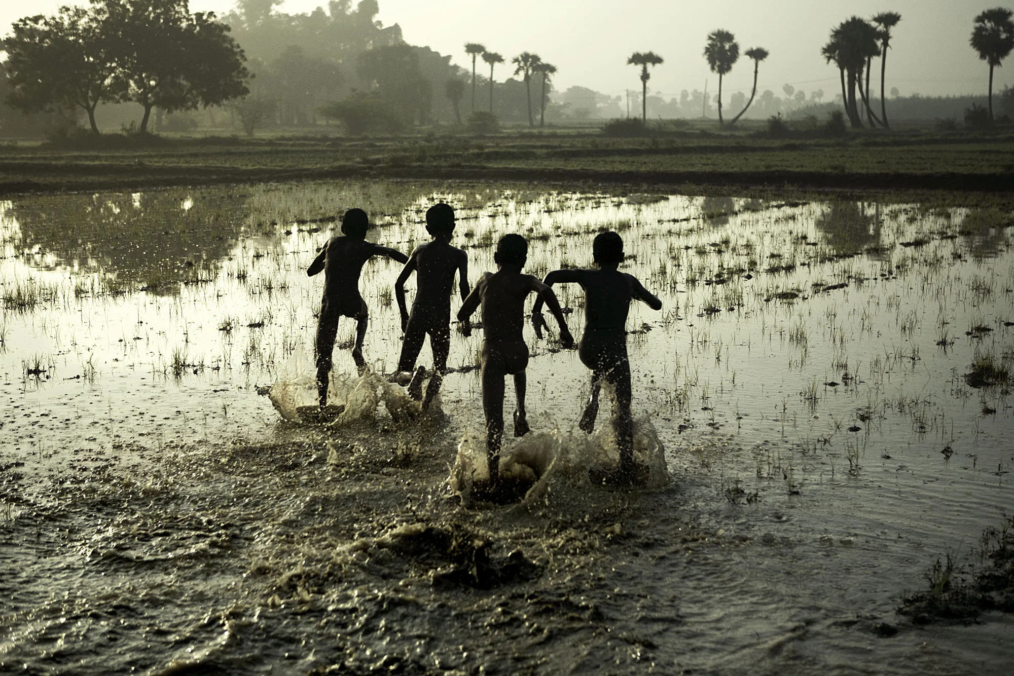 Vedanthangal06-005500.jpg