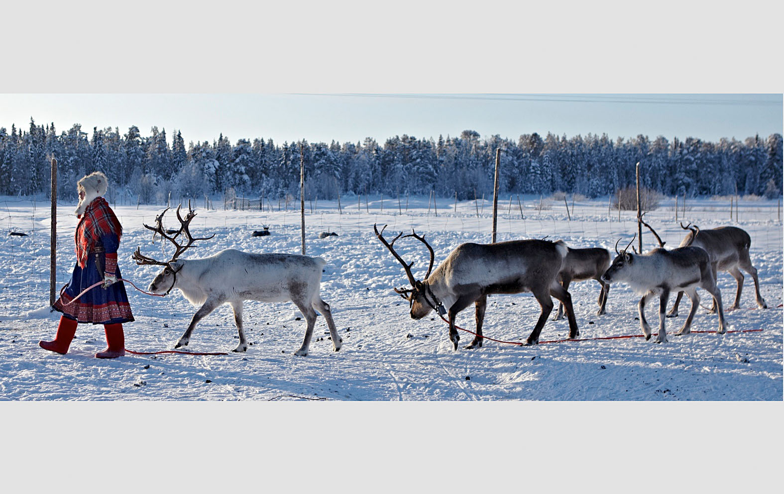 Lapland_travels_©PepAvila.183.jpg