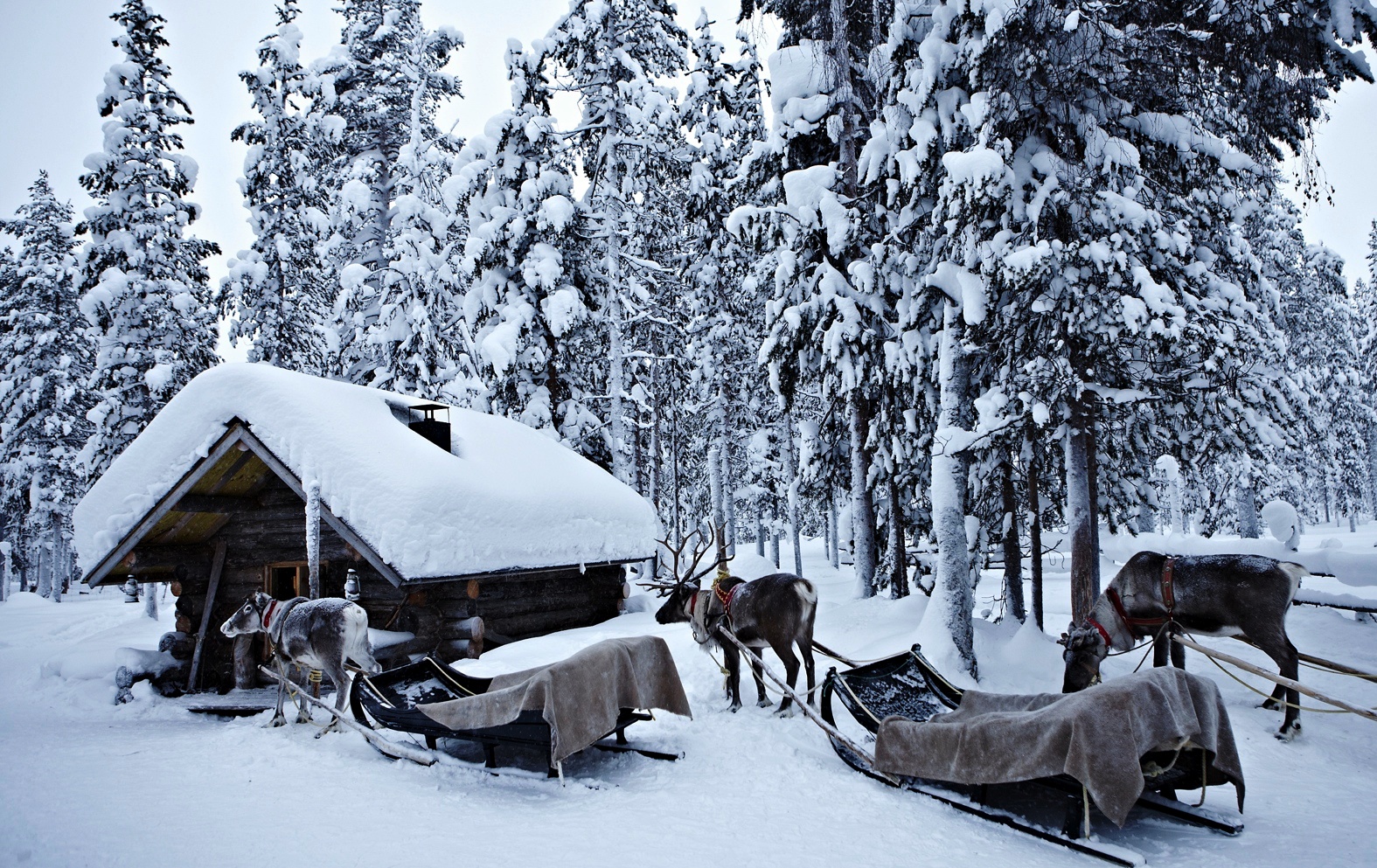 Lapland_travels_©PepAvila.189.jpg