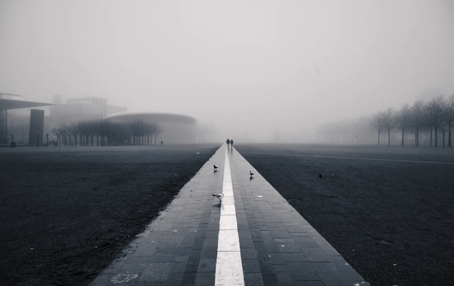 AMSTERDAM_Pep Avila .007.jpeg