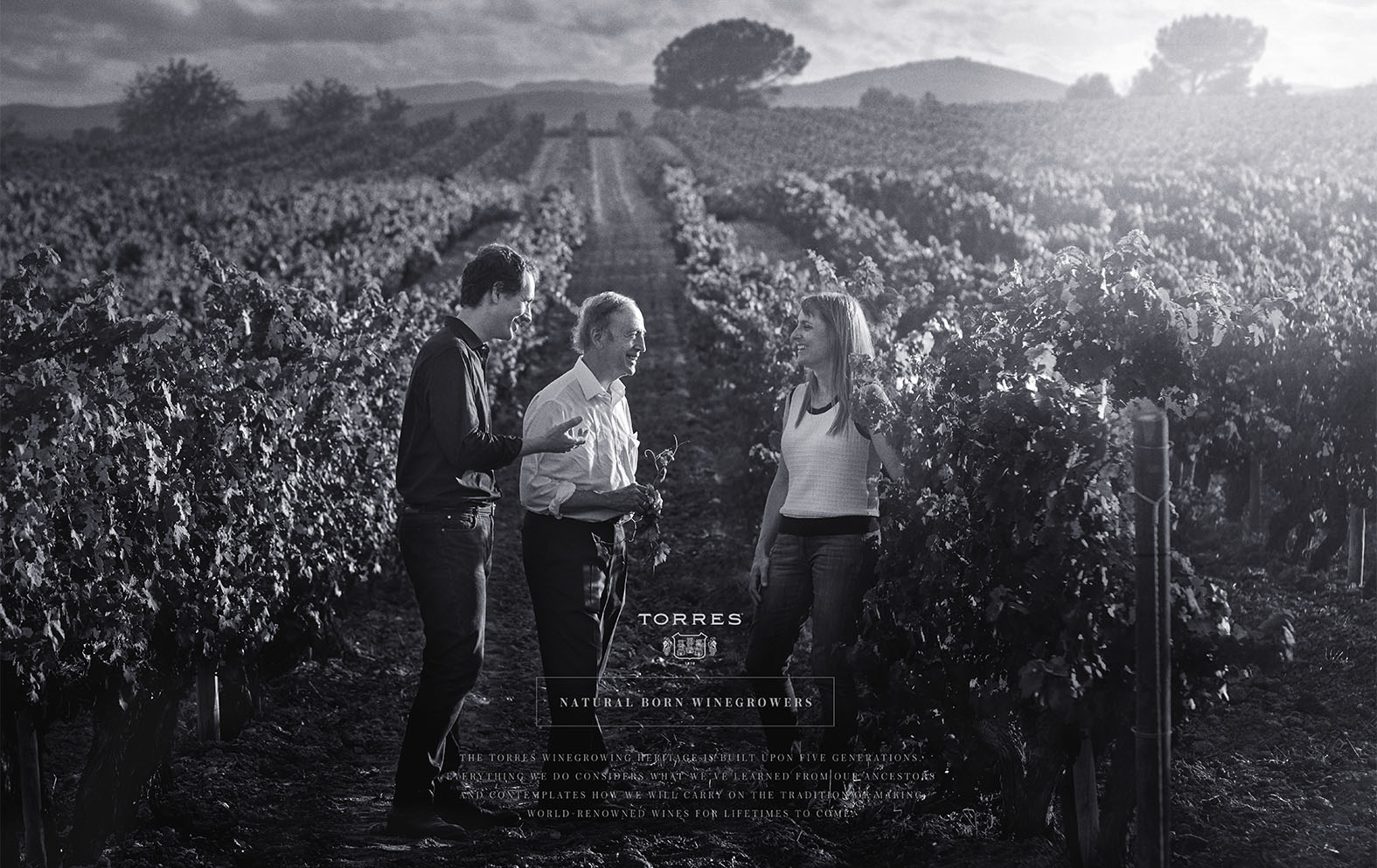  TORRES, FAMILY PORTRAIT. WINEGROWERS. 