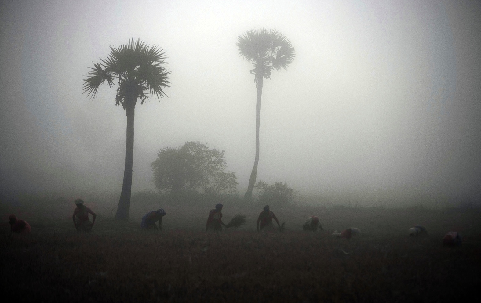  LAIA FOUNDATION, A CHANCE FOR DREAMING. DOCUMENTARY AND PHOTOS. 