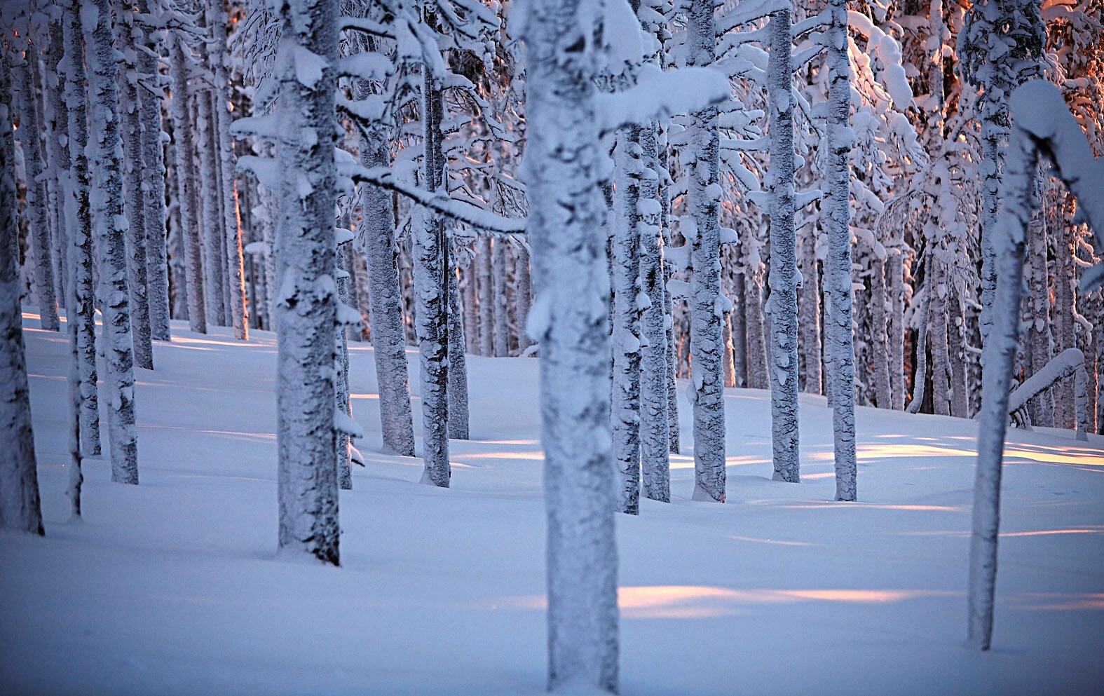 Lapland_travels_©PepAvila.181.jpg