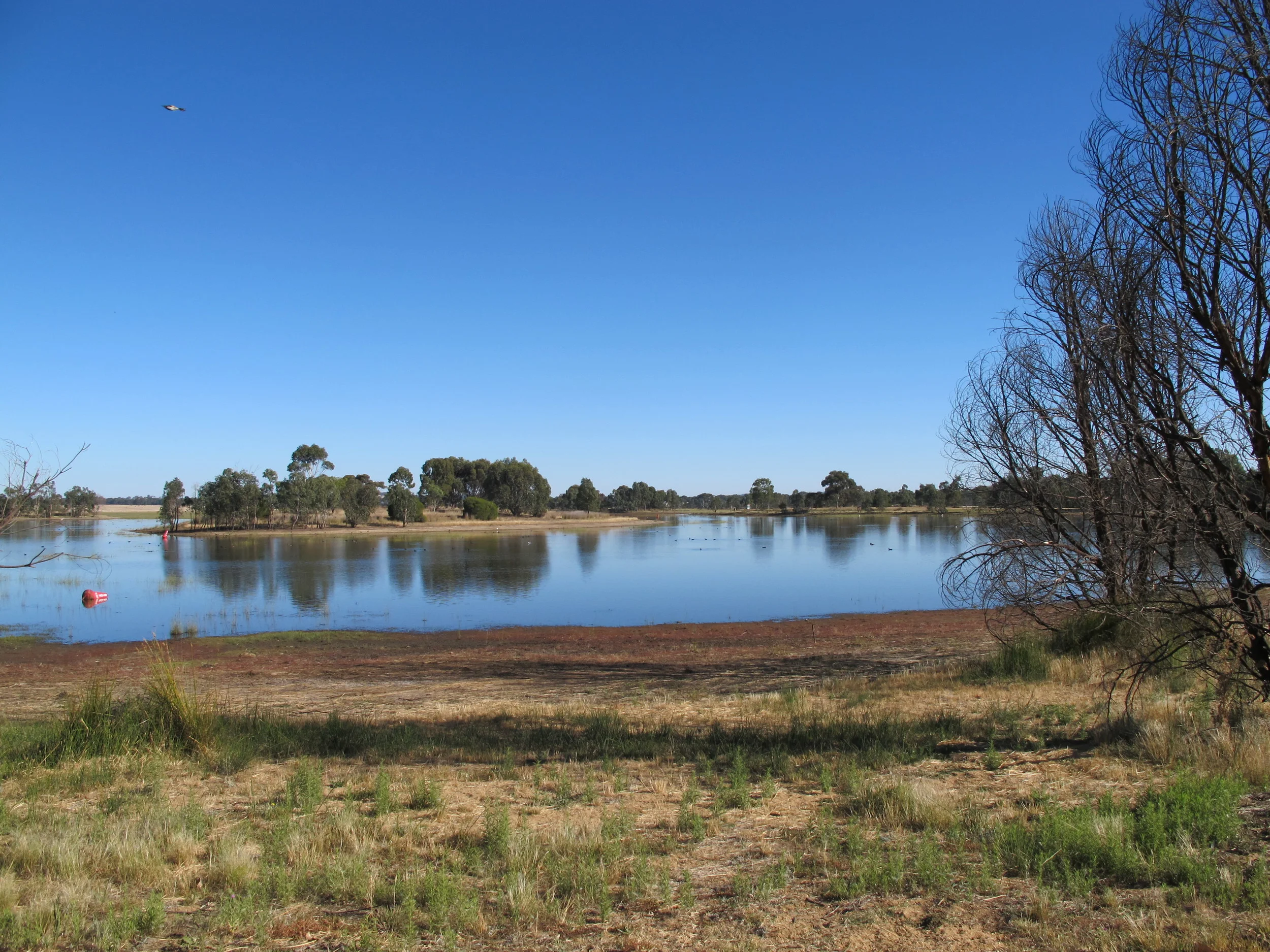 Greens Lake Monitoring