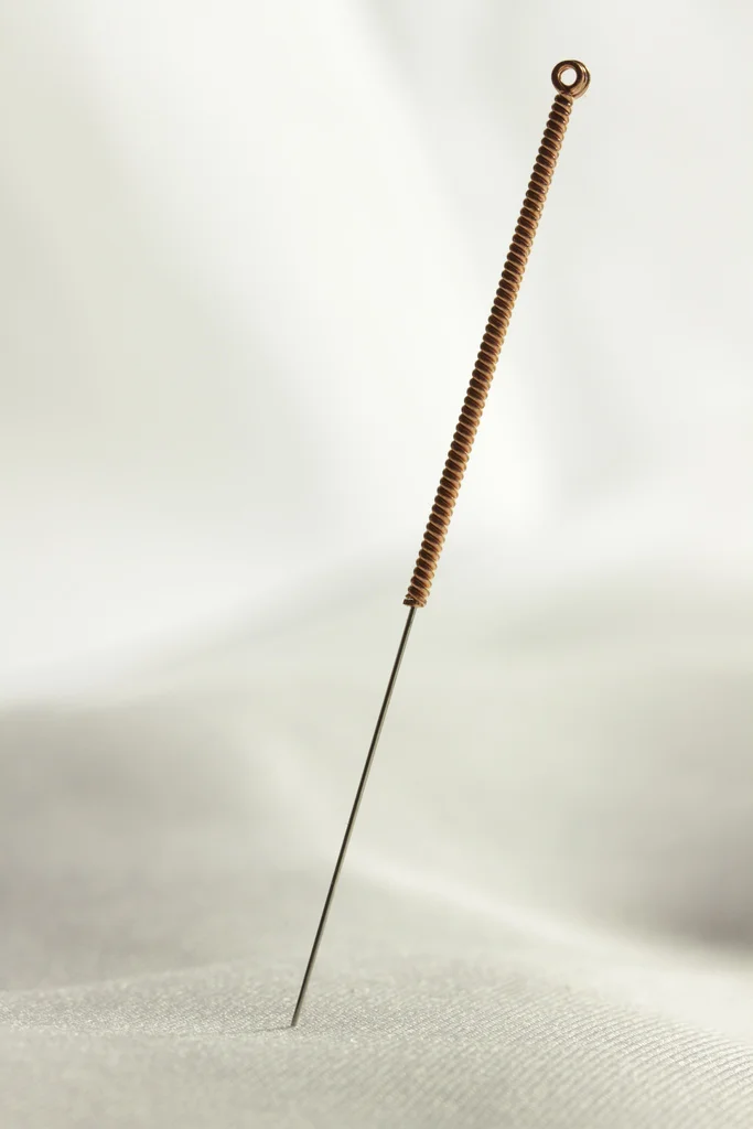 acupuncture_needle.jpg