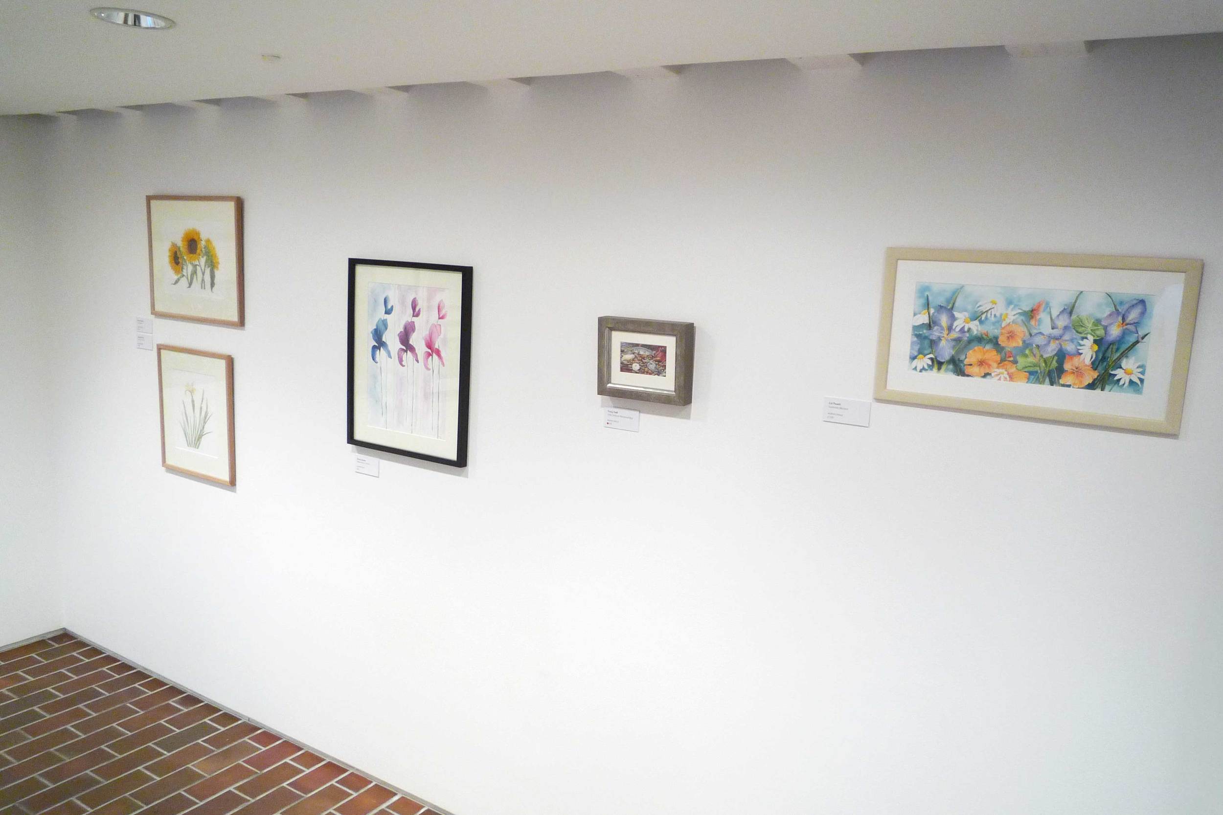 P1030884.jpg
