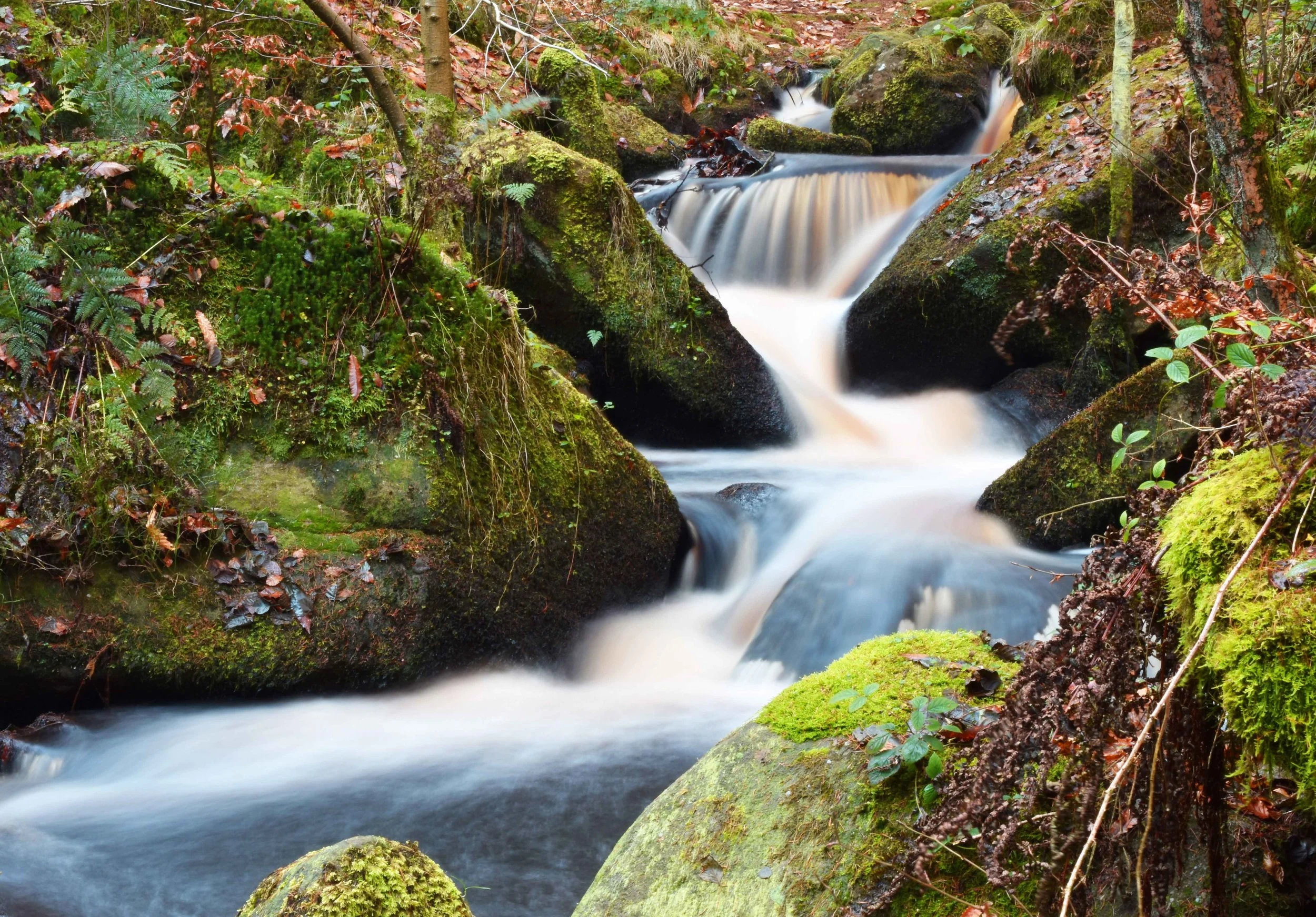 DSC_0440-edit.jpg