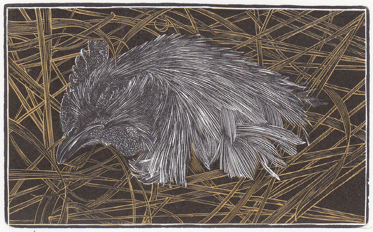 Keith Cranmer Chicken Soup