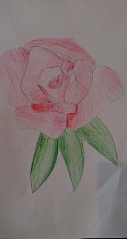A flower by Nymeria Drayak aged 11