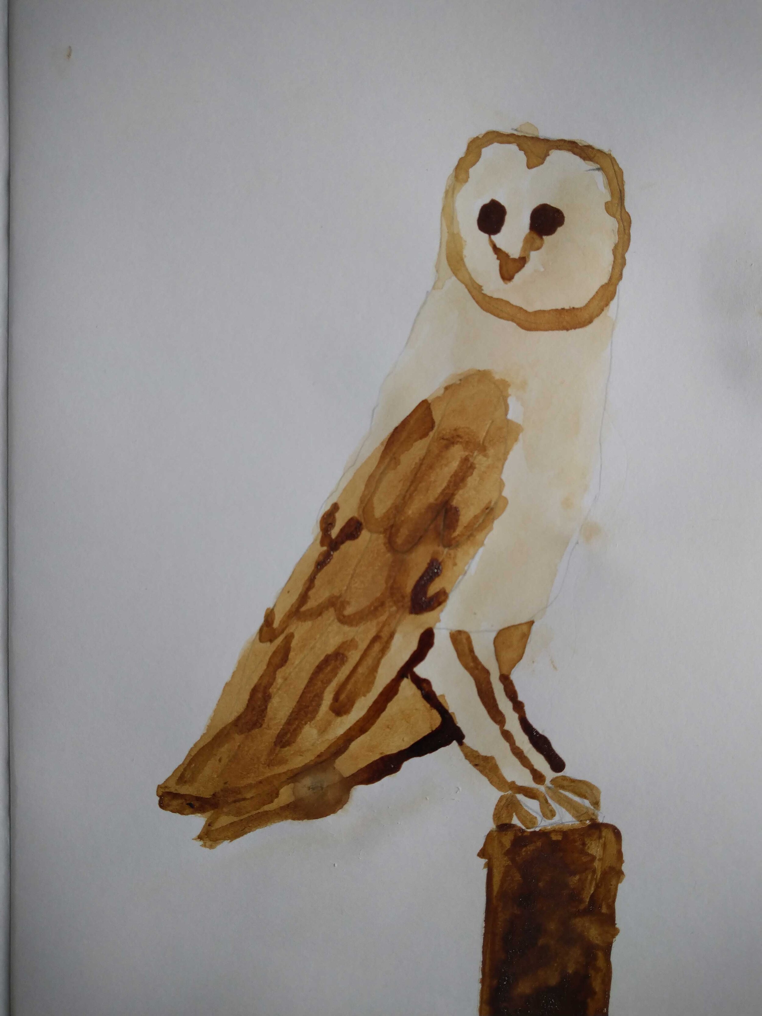 Barn Owl by Ryan Barnett aged 6