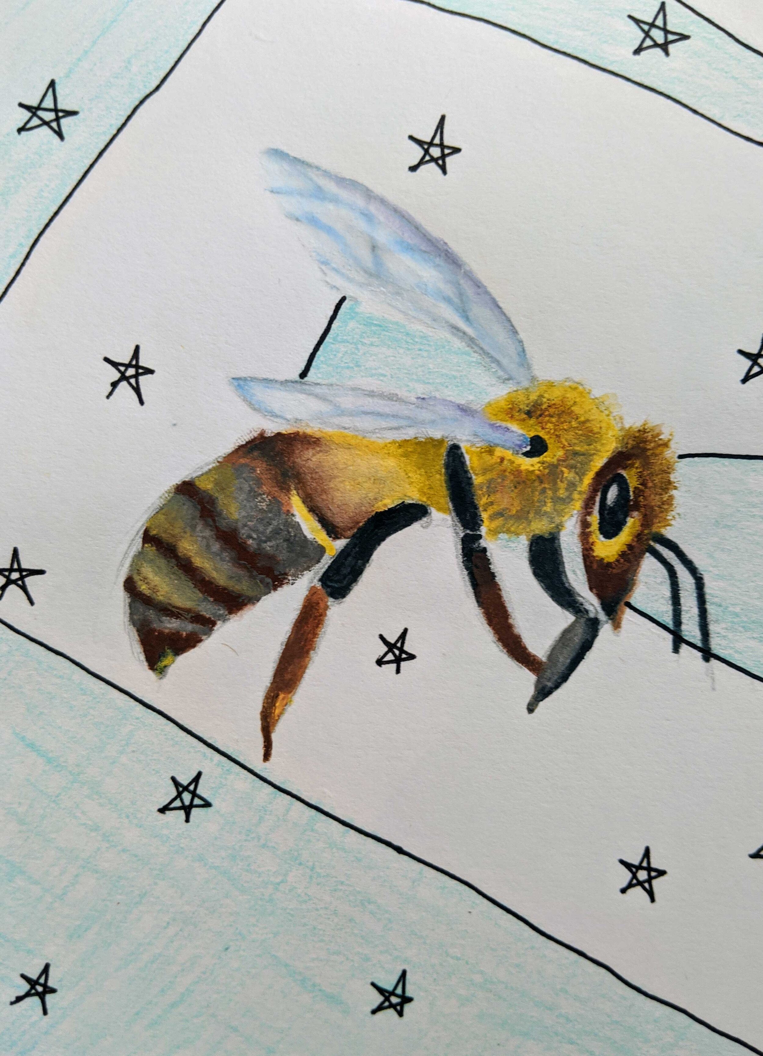 Bee by Josie Gibbon age 12