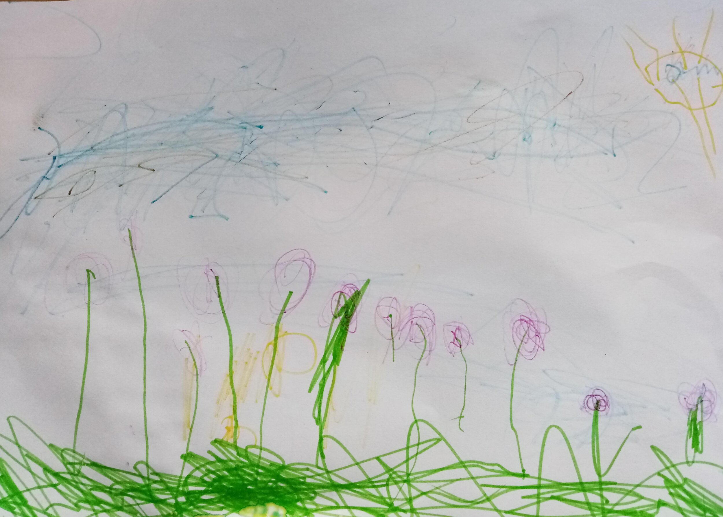 Bluebells in spring by Molly Anderson age 3