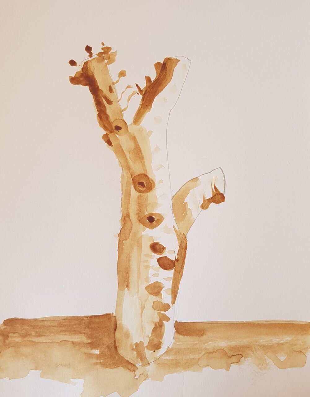 Coffee Tree by Lucas Holloway age 8