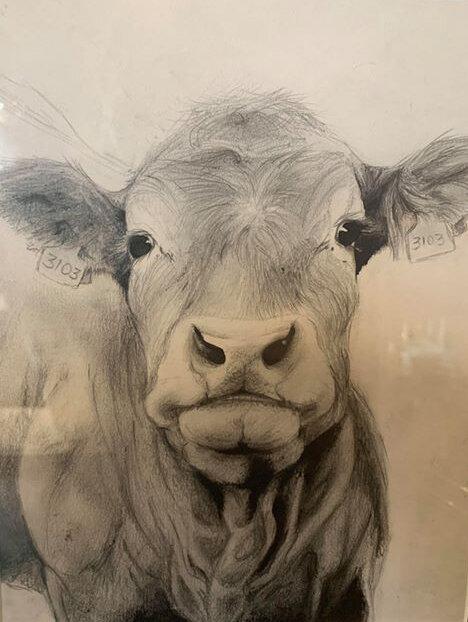 Cow by Sasha Ritch age 15