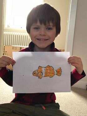 False Clownfish by Thorfinn Banks age 6