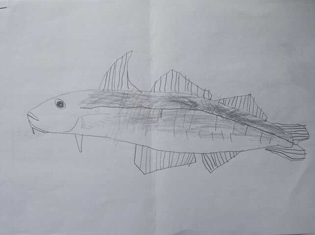 Fish by Alex Leslie age 9
