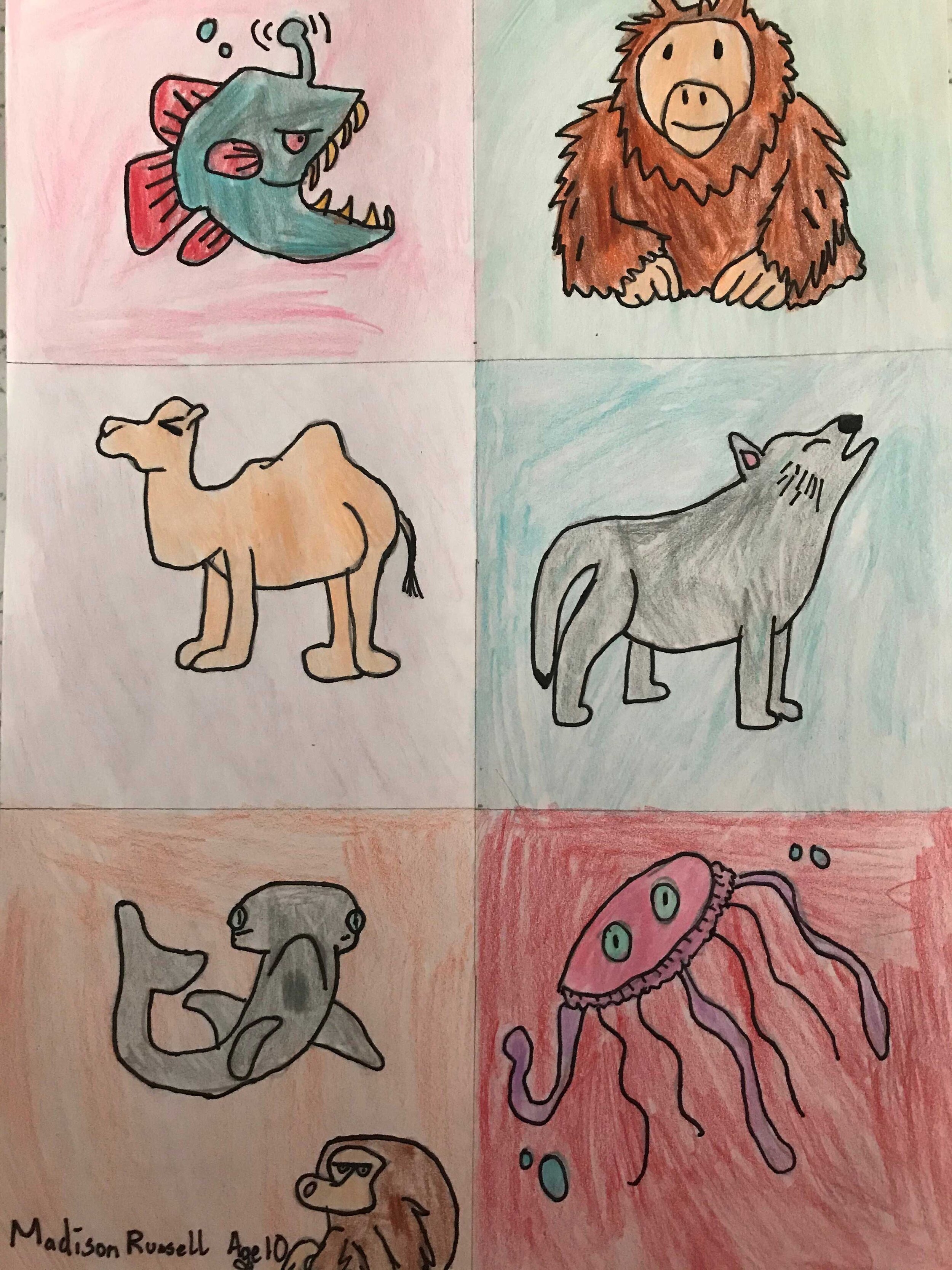Funny Animals by Madison Russell age 10