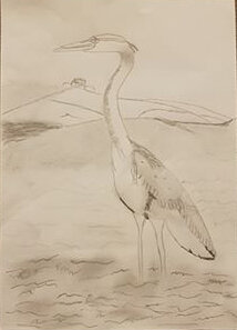 Heron by Blair Dee McAlister age 10