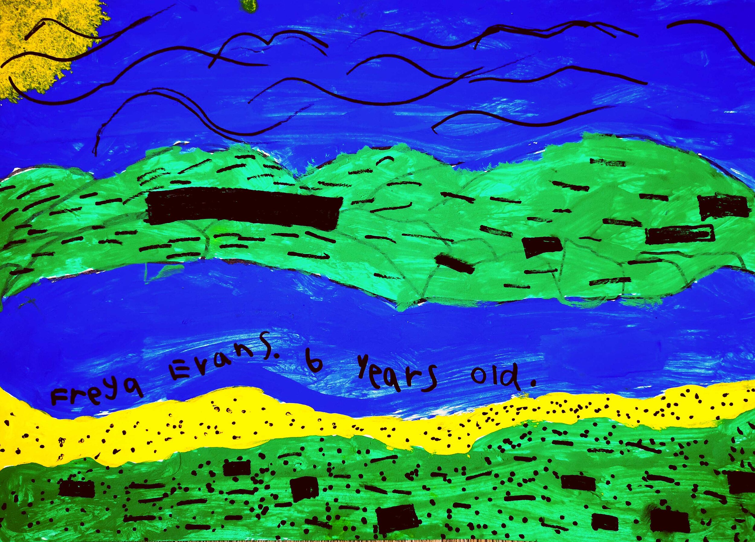 Island and Sea Life by Freya Evans age 6