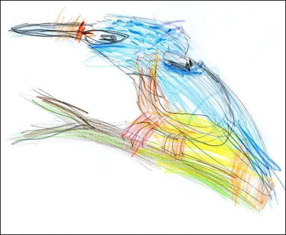 Kingfisher by Ross Martin age 7