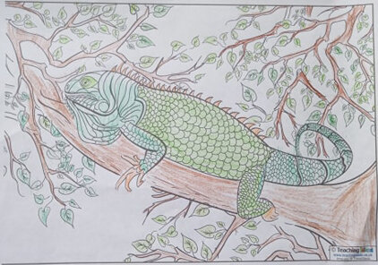 Lizard by Alex Leslie age 9