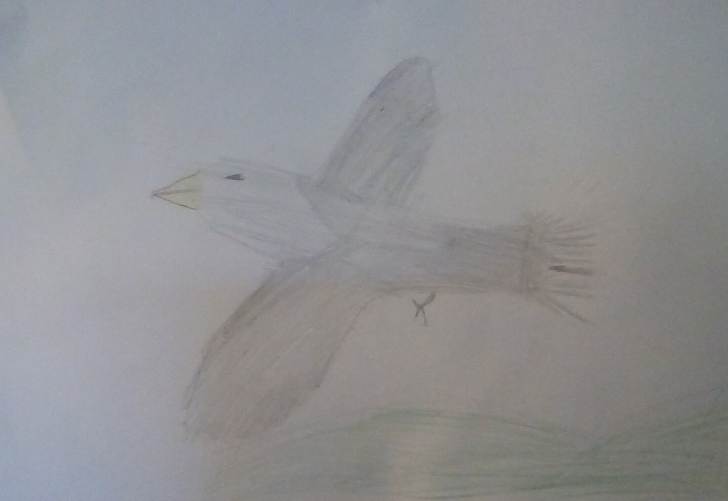 Mallimack by Alexander Hourston age 8