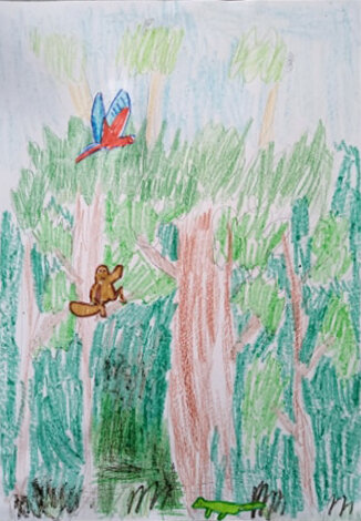 Rainforest by Morgan Leslie age 10