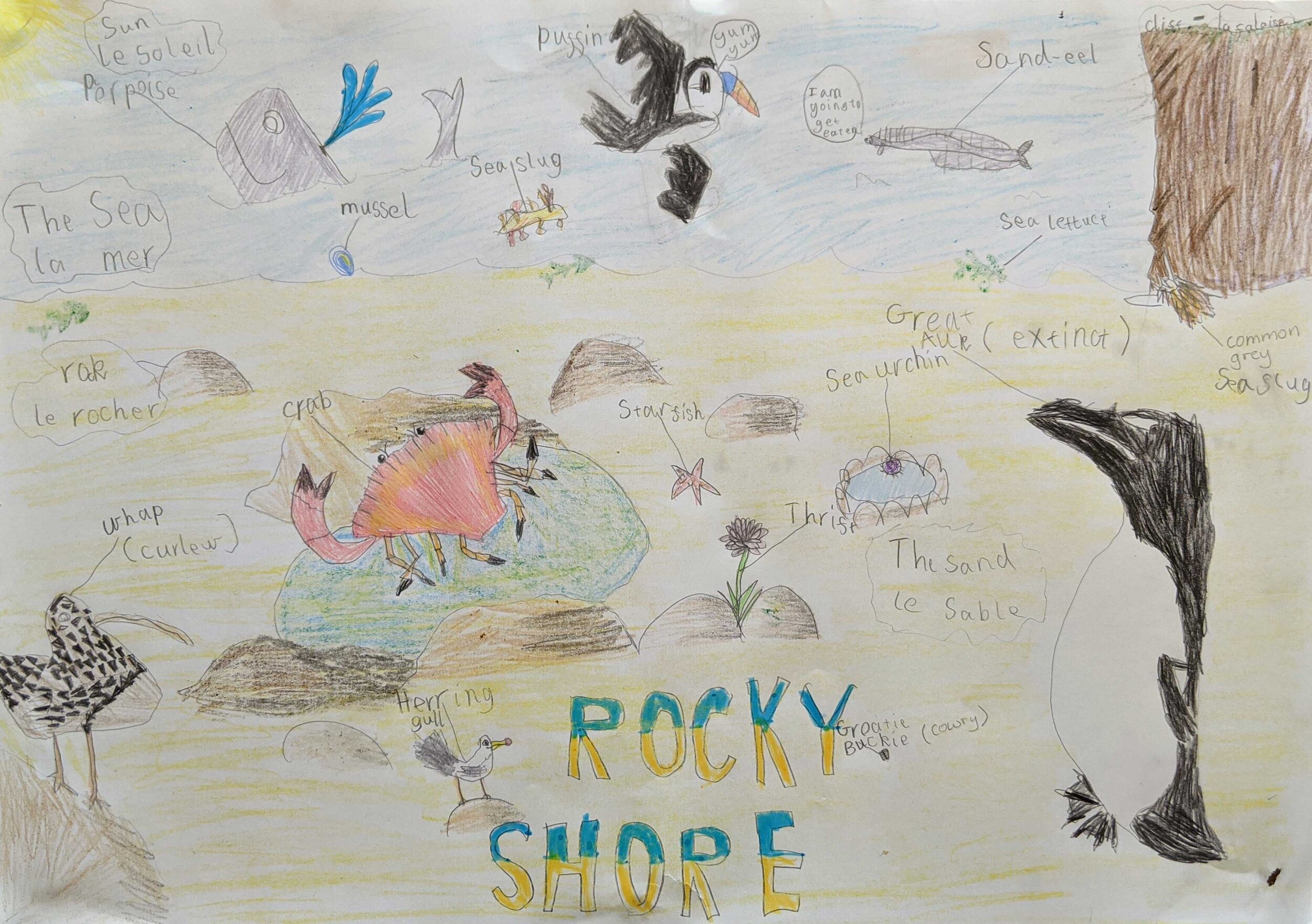Rocky Shore by Jamie Gibbon age 7