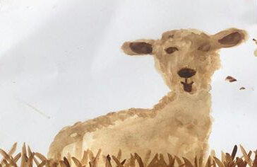 spring lamb painted with coffee by Josie Eunson age 9