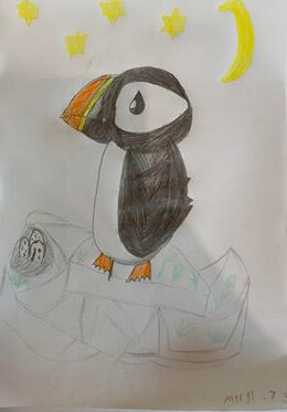 The Puffin that Loves by Meryl Smith age 7