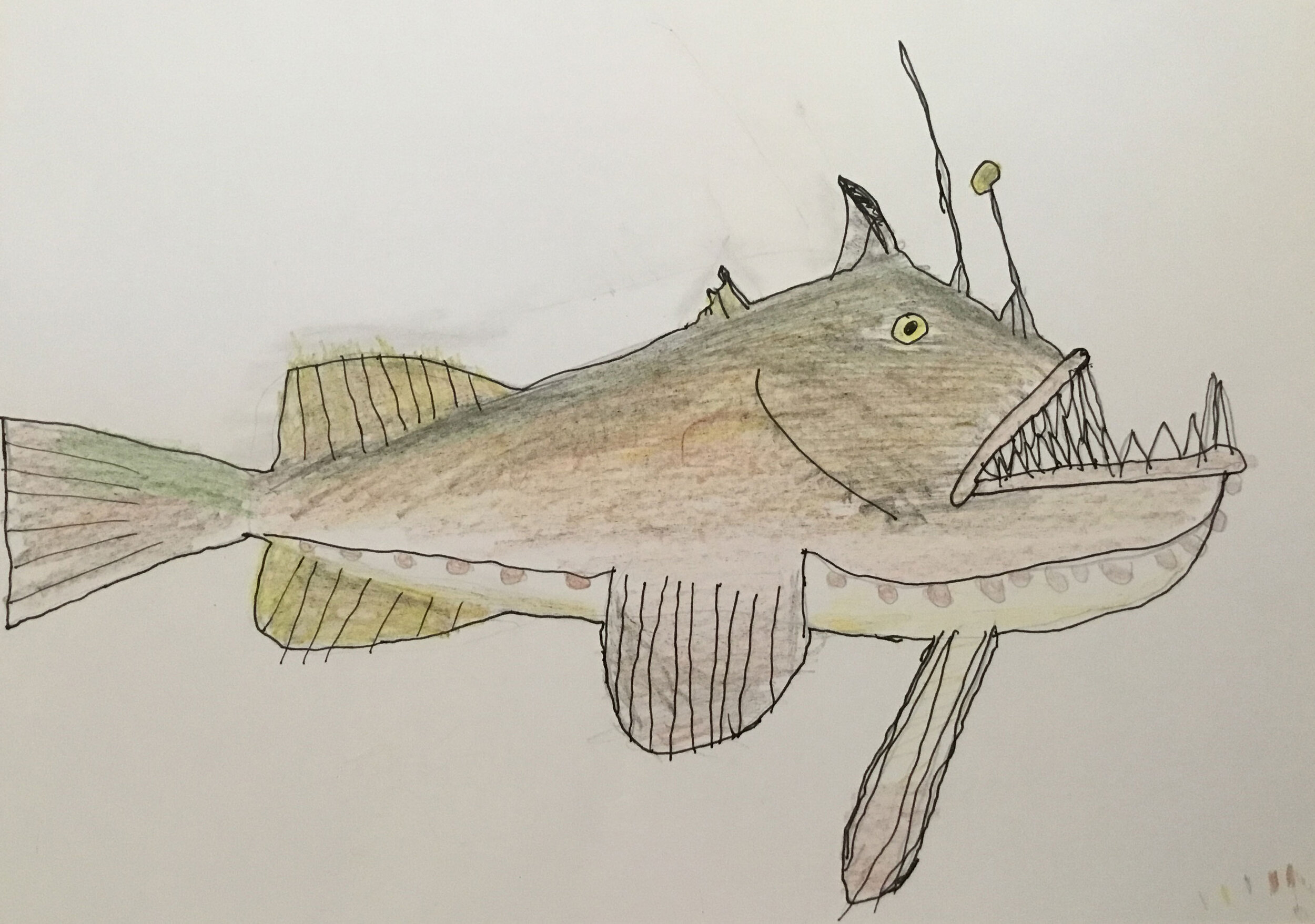 The Monkfish by Finn Lyon age 8
