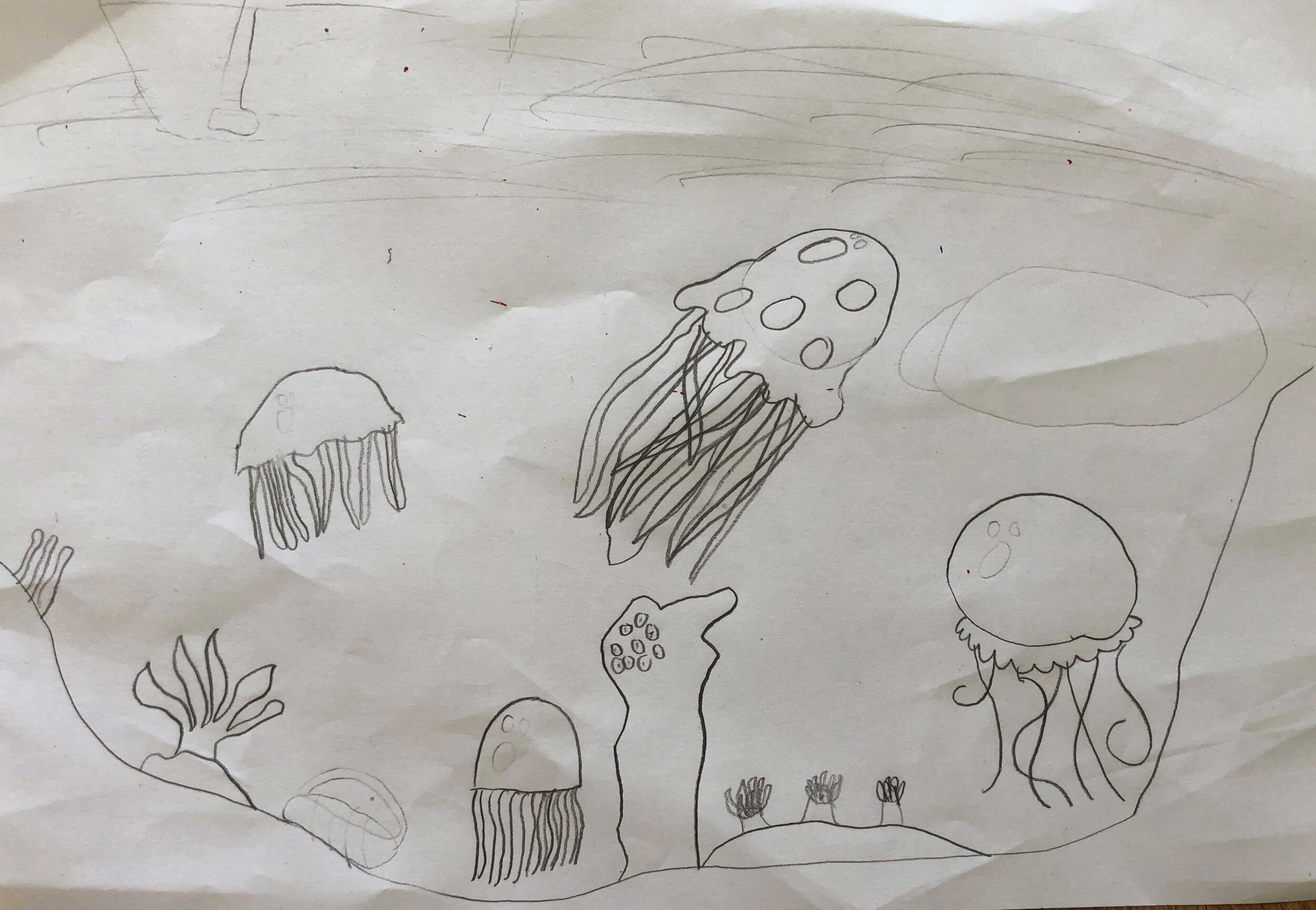 Under the Sea by William Brown age 9
