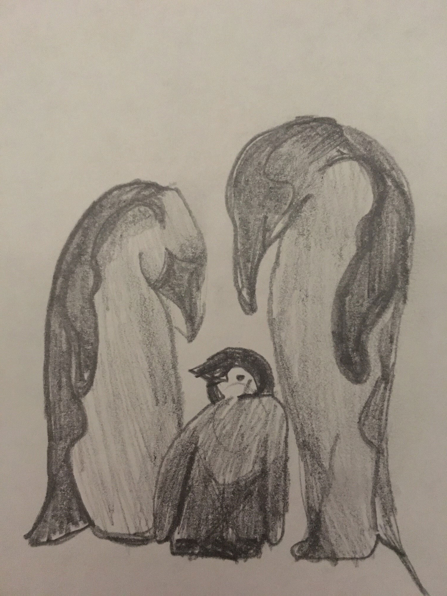 Penguins by Megan Clarke age 10