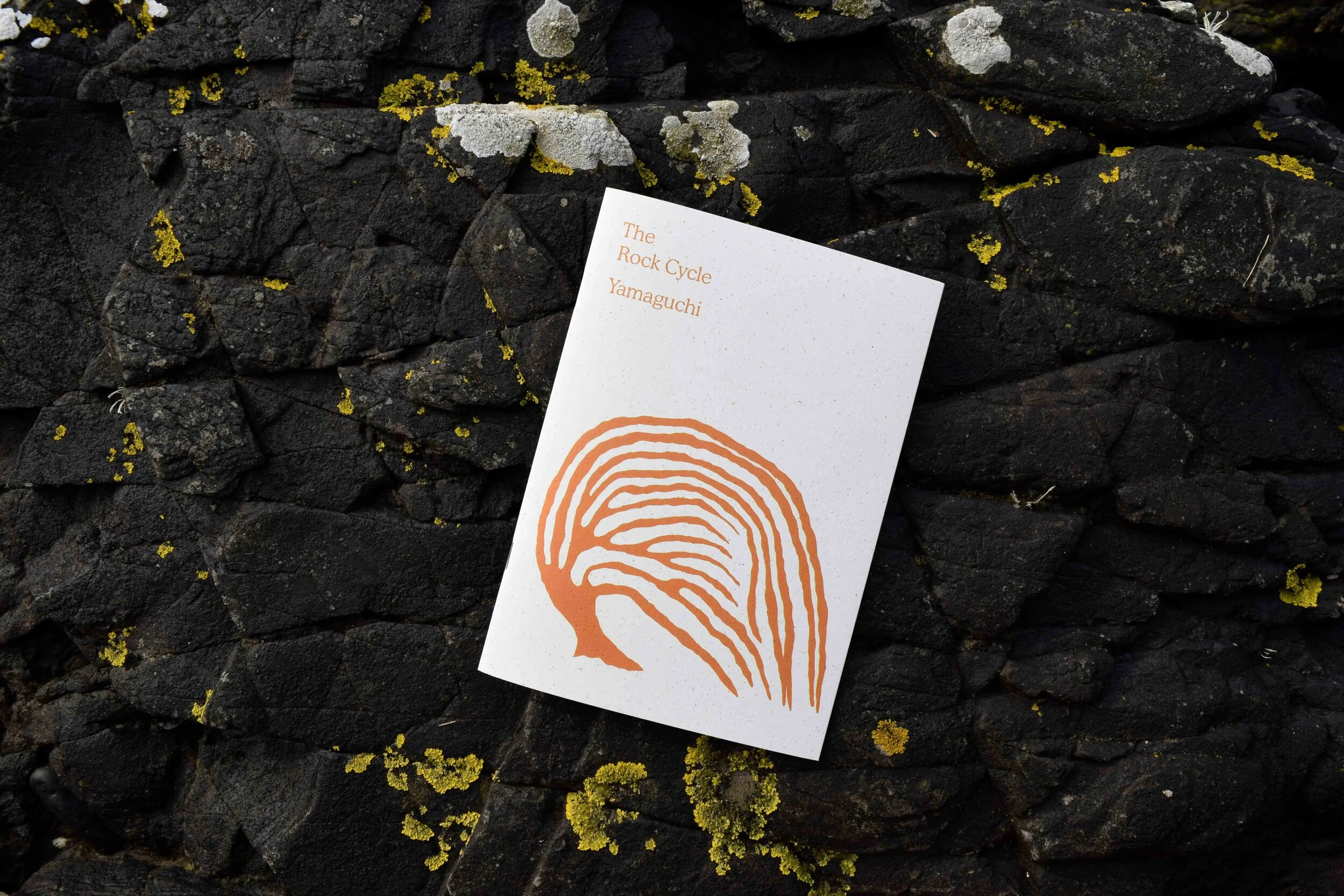 “Ilana Halperin: The Rock Cycle (Yamaguchi)” Book Launch Event - Performative Talk &amp; Conversation