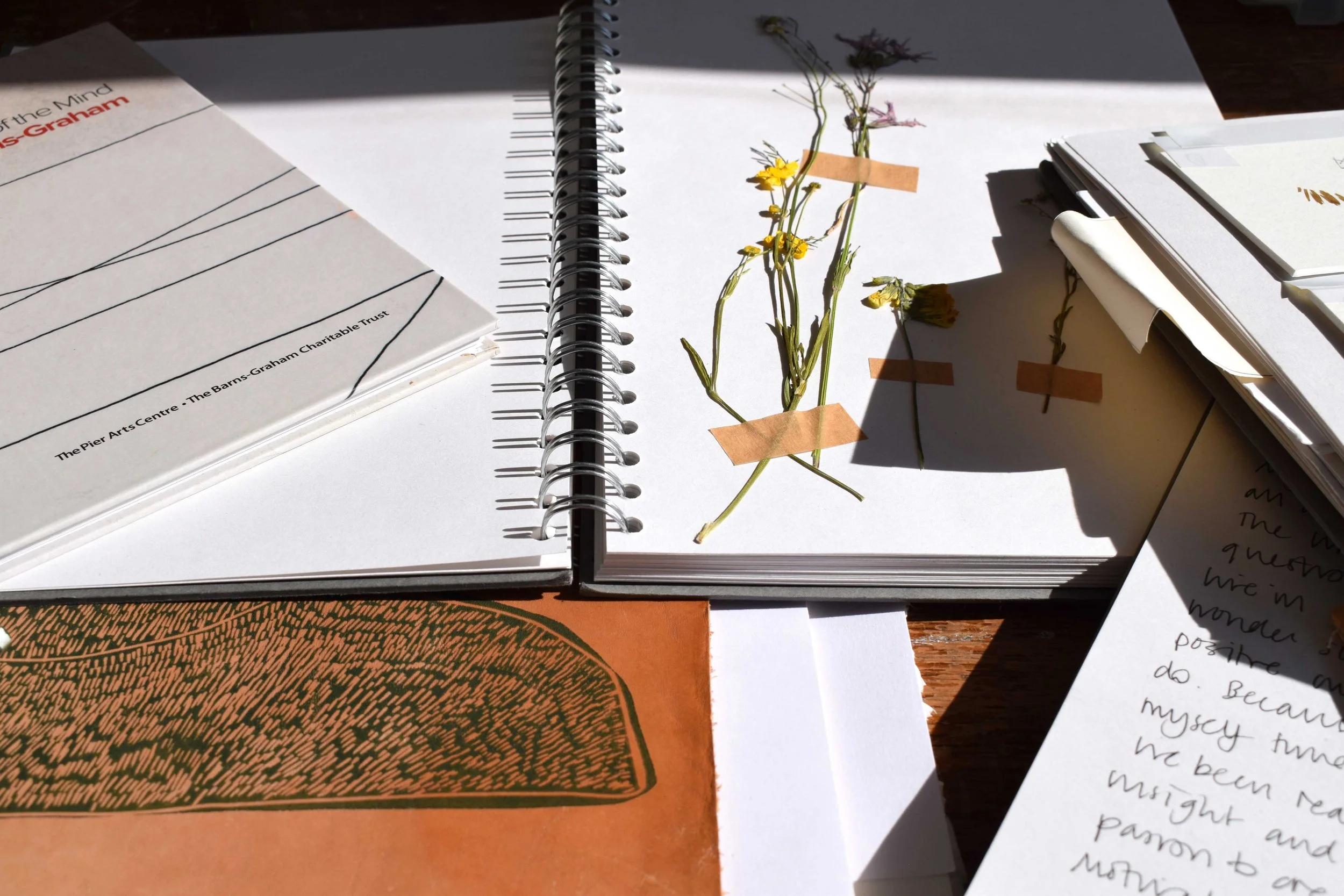 Walking Workshop led by artist Laura Drever