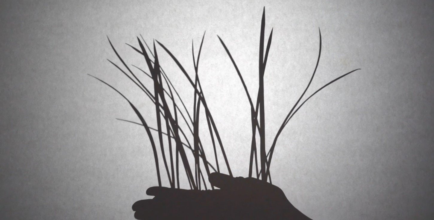 13 Film Shorts