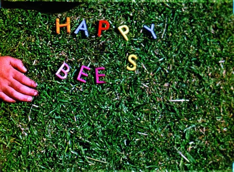Today we celebrate the birth of Orcadian poet and filmmaker Margaret Tait (1918-99) with a still from Happy Bees 1955 16mm film with colour and sound &copy; the estate of the artist

#PierArtsCentre #Orkney #MargaretTait