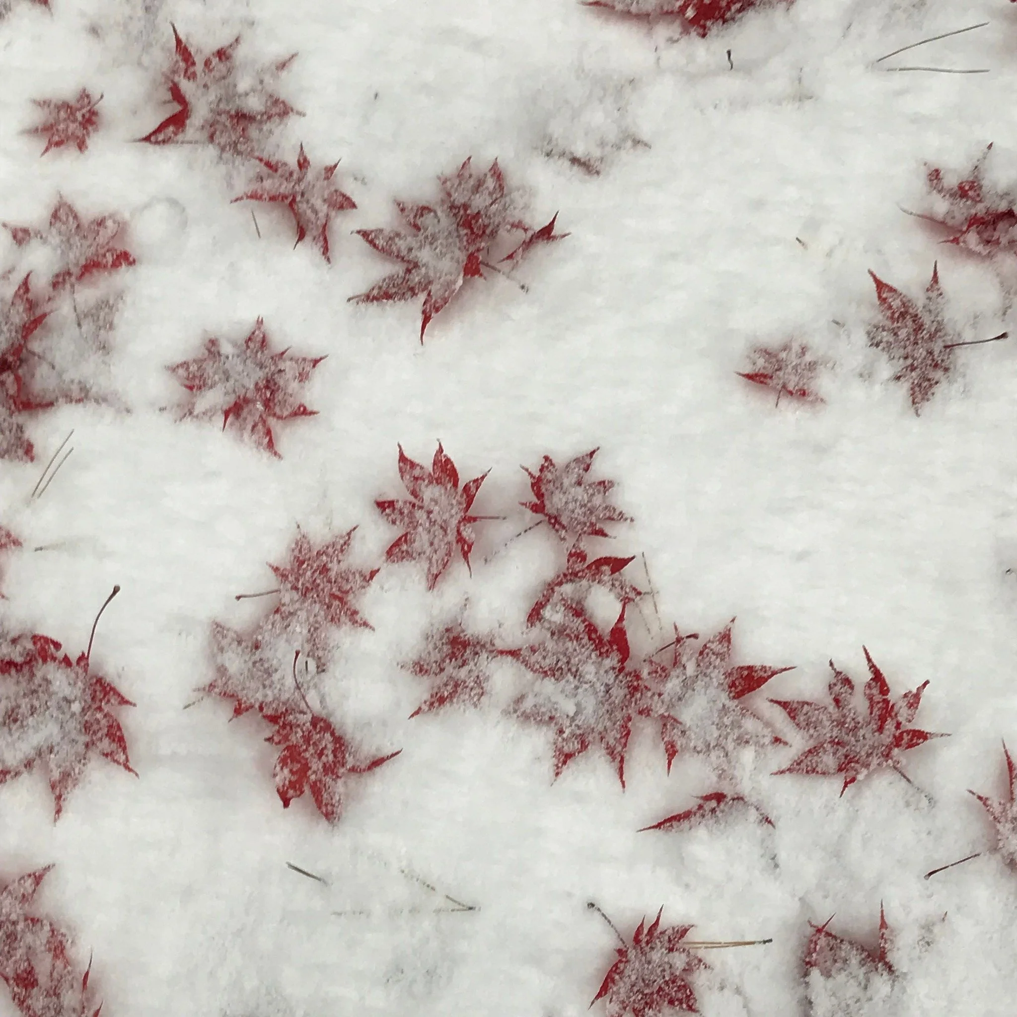 It's great keeping up with Orkney based visual artists and writer @samclarkartwrite  as she experiences a month long residency in Japan  facilitated by the Pier Arts Centre in collaboration with Aomori Contemporary Art Centre (ACAC) @acac_aomori 

Li