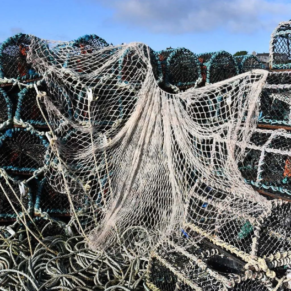 Anna_Charlotta_Gardiner_Images crop.jpg