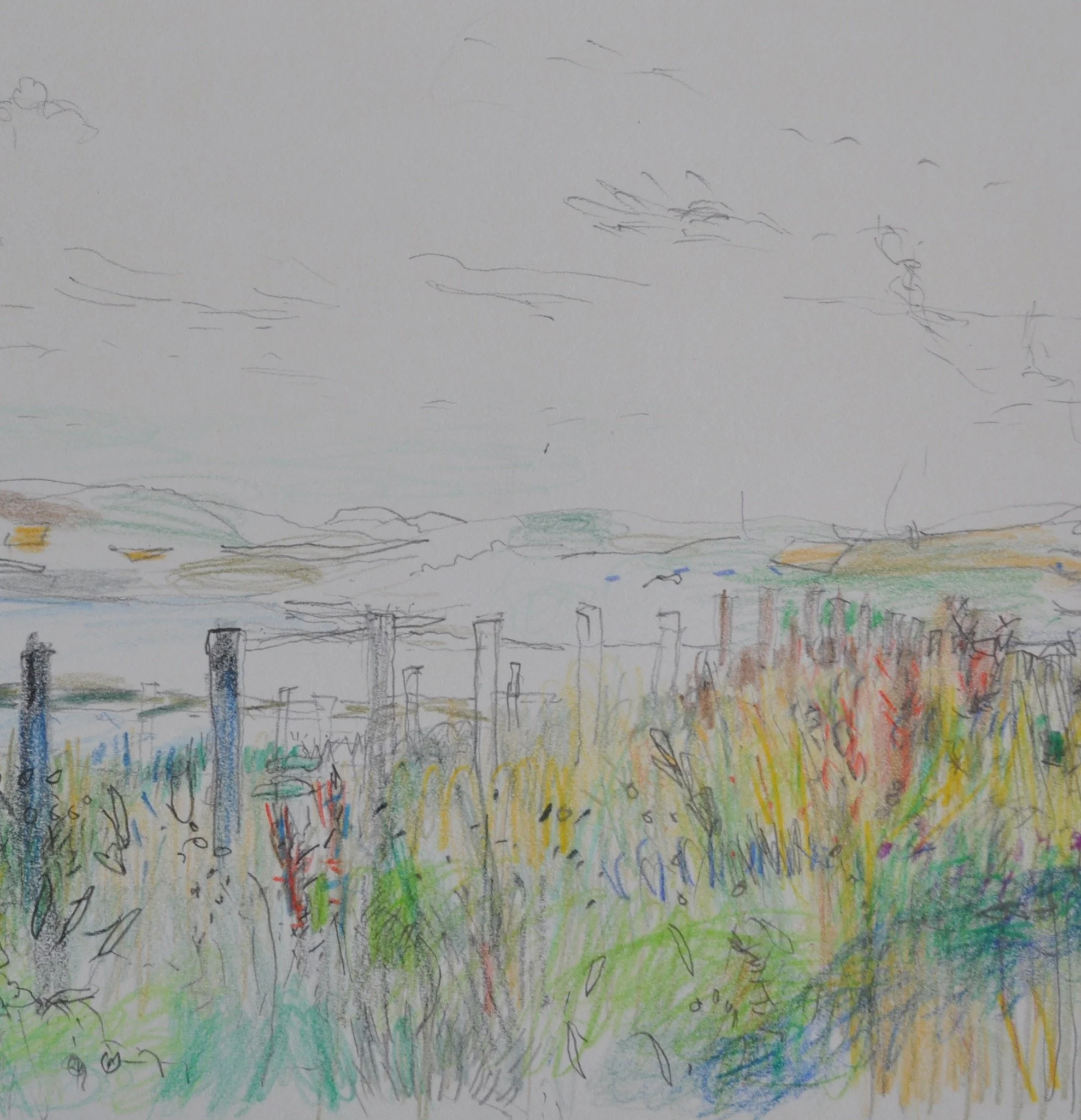 When you&rsquo;re tired of the mountains and the rivers and the trees... 
Drawings by Marian Ashburn
on display until 15 August

"After college I had various jobs while I worked towards exhibitions - roughly every two years. I have always kept s