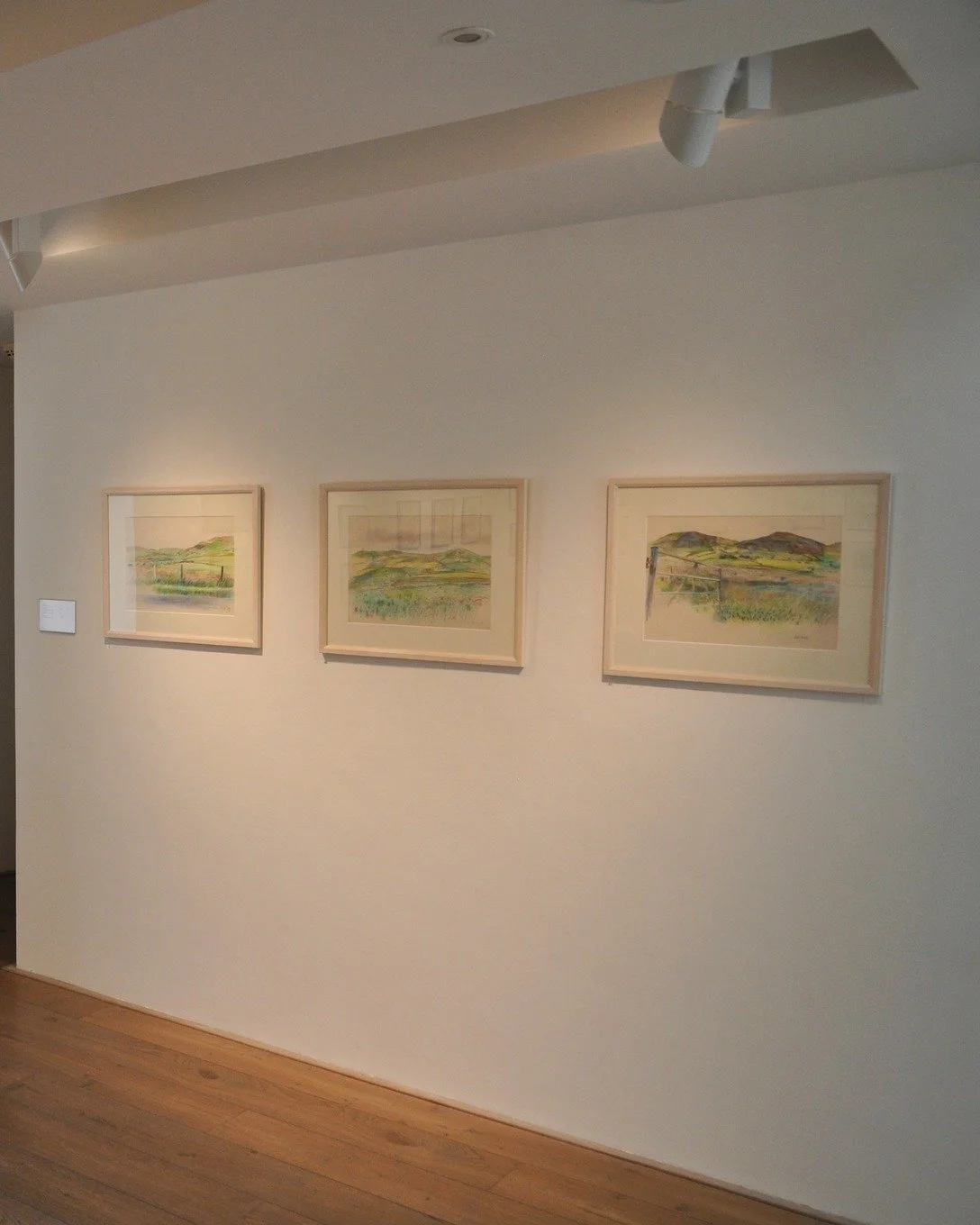 When you&rsquo;re tired of the mountains and the rivers and the trees... 
Drawings by Marian Ashburn is on display until Saturday 15 August

"One of my favourite things is stage design. It is maybe because of its ephemeral nature. You work flat 