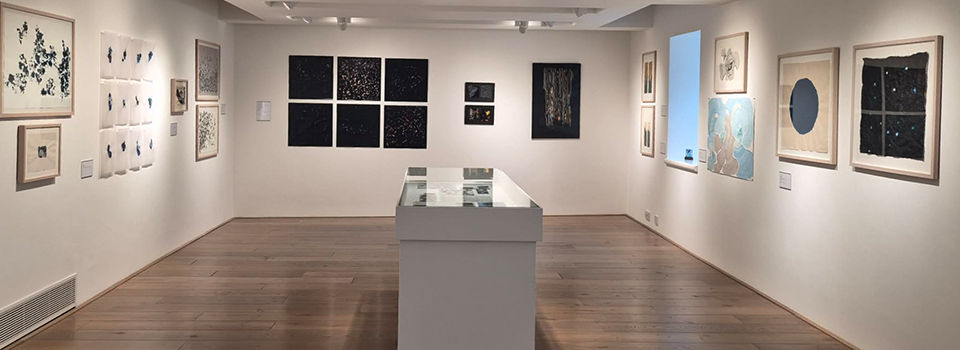 Water and Ground - New work by Teresa Borek