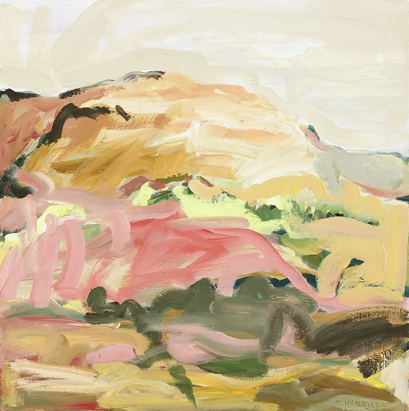 Broken Hill Desert Park II