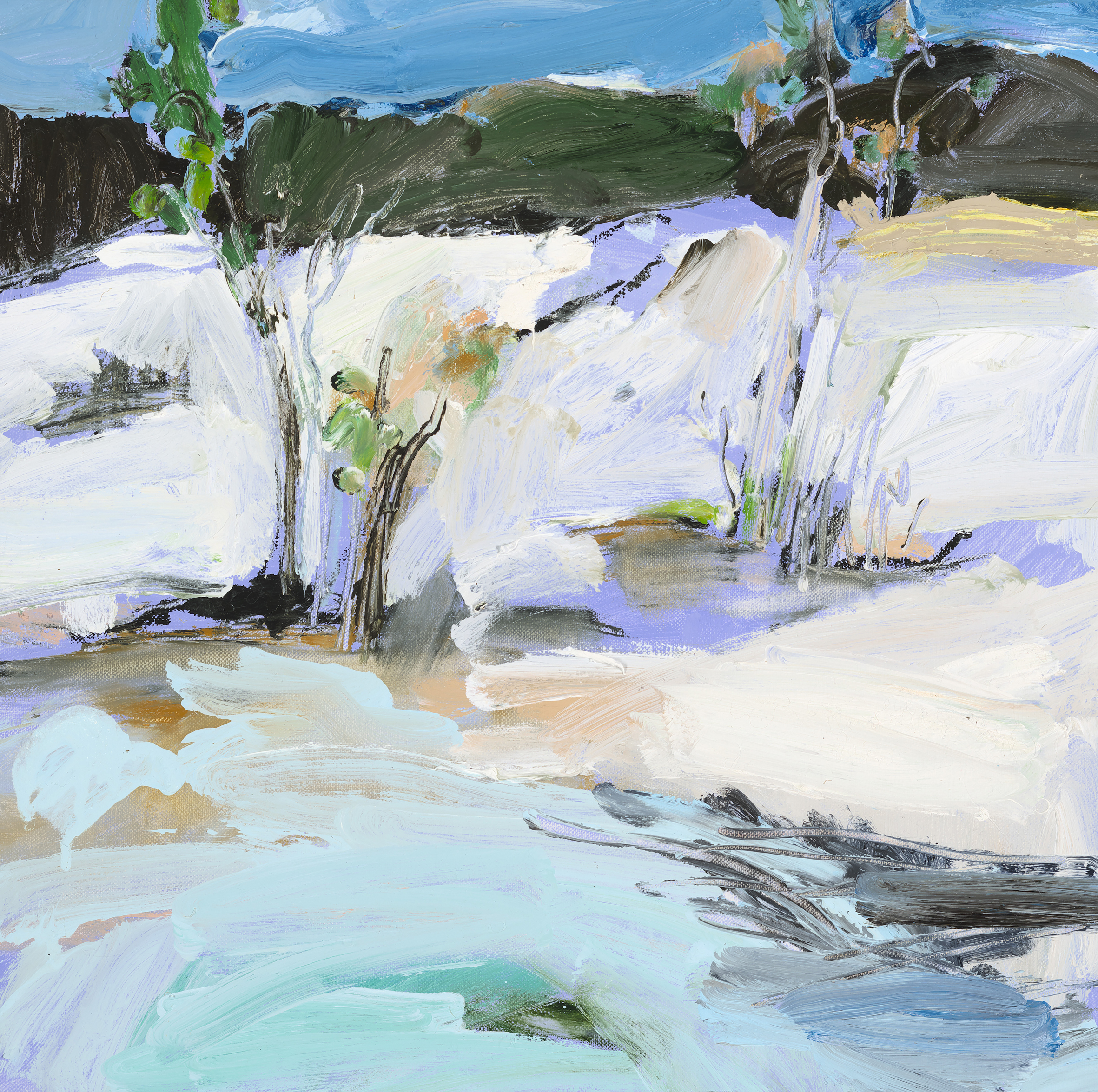 Lake Birrabeen #1