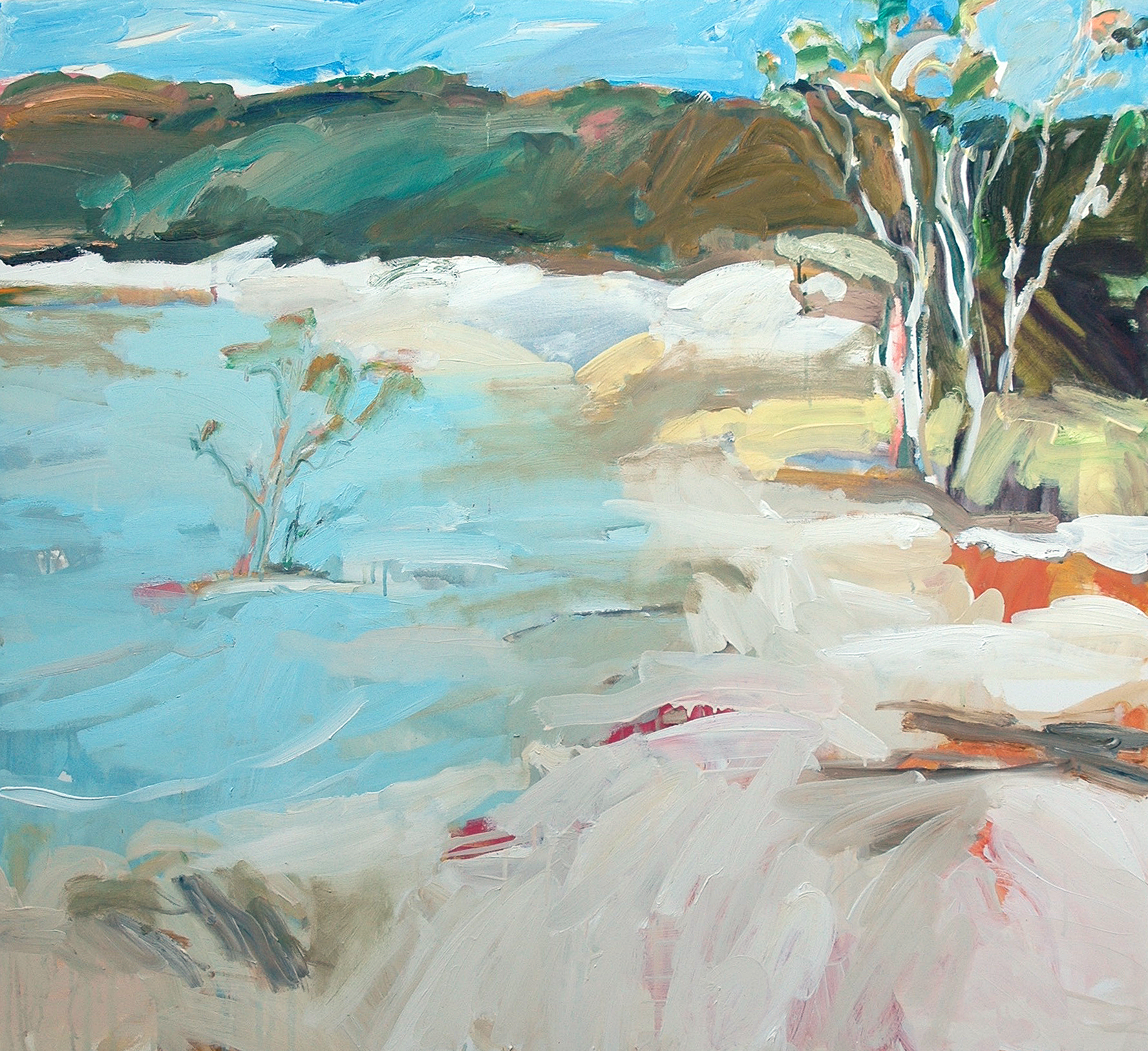 Lake Birrabeen #4